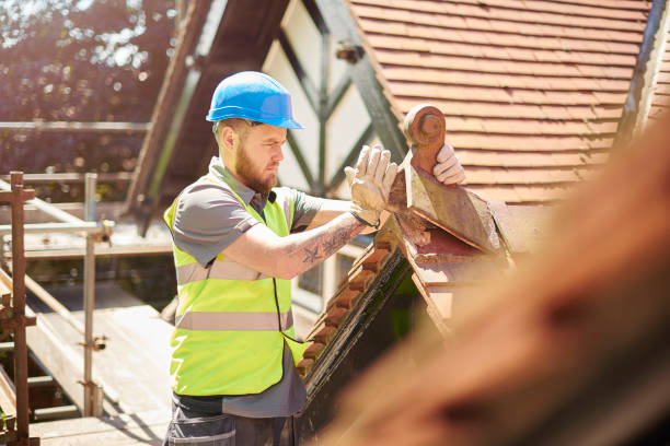 Best Local Roofing Companies  in Shenandoah Heights, PA